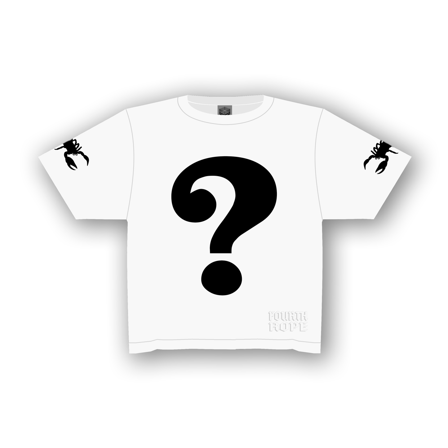 MYSTERY T-SHIRT (OVERSIZED)